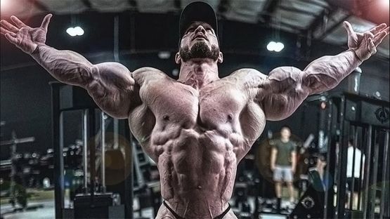 Verwendung von Steroiden zur Verringerung des Verletzungsrisikos beim Training Verwendung von Steroiden zur Verringerung des Verletzungsrisikos beim Training